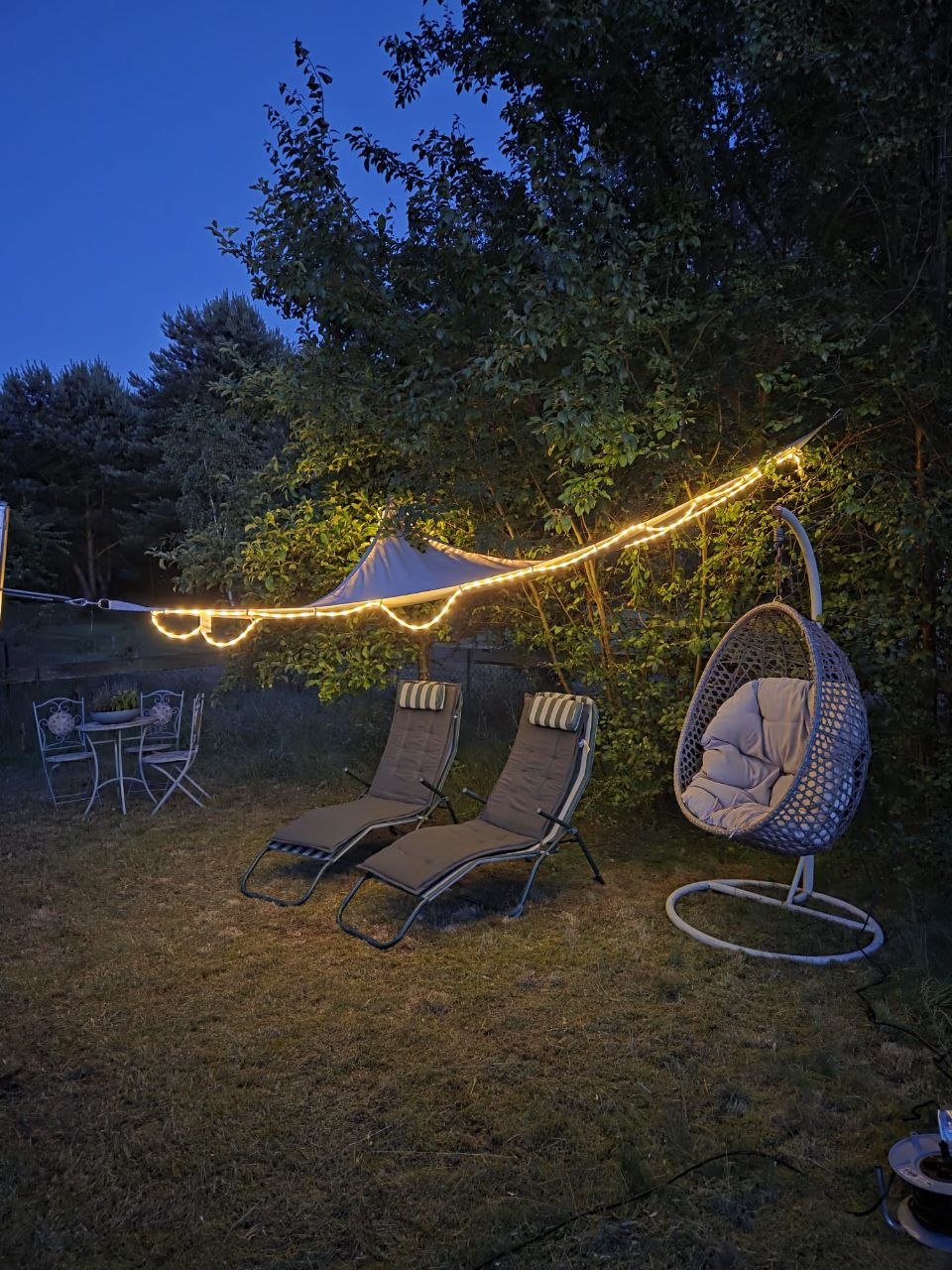 Garten bei Nacht
