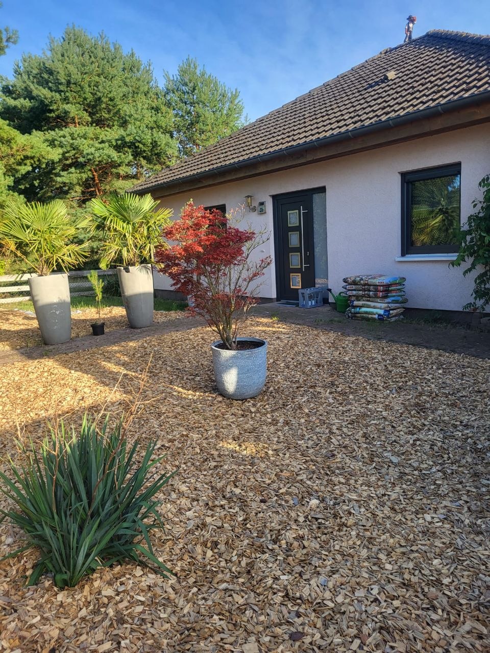 Ferienhaus Aufatmen von vorne